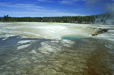 Midway Geyser Basin, Yellowstone National Park, UNESCO World Heritage Site, Wyoming, United States of America (U.S.A.), North America