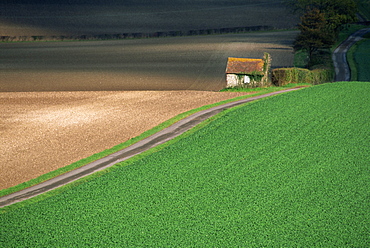 Farmland near Old Winchester Hill, Hampshire, England, United Kingdom, Europe