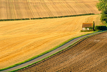 Fields and rural road near Old Winchester Hill, Hampshire, England, UK