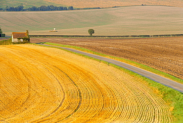 Old Winchester Hill, Hampshire, England 