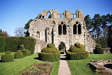 Wenlock Priory and topiary, Much Wenlock, Shropshire, England, United Kingdom, Europe