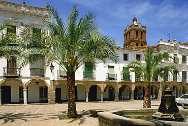 Fountain and palm trees in the town square in Zafra, Extremadura, Spain, Europe