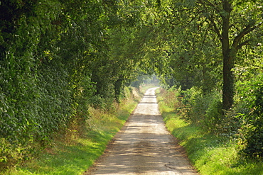 Near Cheltenham, Gloucestershire, England, United Kingdom, Europe