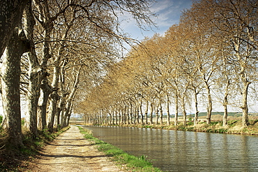 The Canal du Midi, near Capestang, Languedoc Roussillon, France, Europe