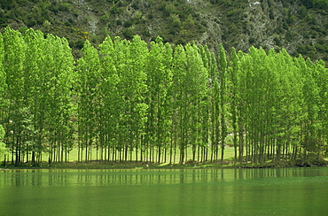 Landscape of trees and river in the Bidasoa Valley, Navarra, Spain, Europe