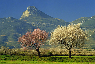 Landscape near Balaguer, Lerida, Catalonia, Spain, Europe