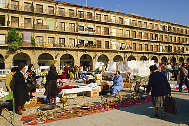 Market in the Town Square in Cordoba, Andalucia (Andalusia), Spain, Europe