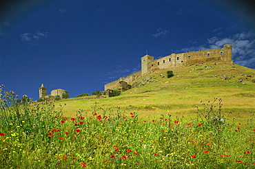 Wild flowers in front of the Castle of Medallin in Extremadura, Spain, Europe