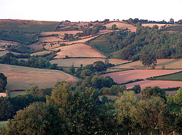 Golden Valley, Herefordshire, England, United Kingdom, Europe