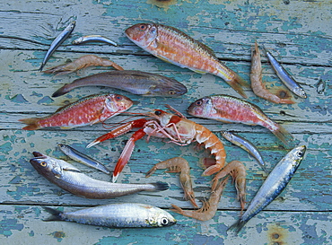 Overhead view of a selection of fish, prawns, and other seafood caught in the Mediterranean Sea, on a blue wooden table, Andalucia (Andalusia), Spain, Europe