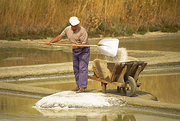 Man shovelling salt into a wheelbarrow in the salt pans near Guerande in Western Loire, France, Europe