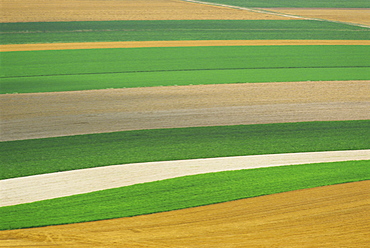 Strips of farmland in the Cotes des Blancs near Bergeres les Vertus, Champagne Ardennes, France, Europe