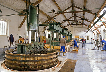 Champagne wine presses, Verzy, Champagne Ardennes, France, Europe