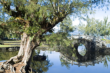 Liliuokalani Gardens, Hilo, Island of Hawaii (Big Island), Hawaii, United States of America, North America