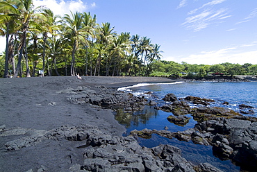 Punaluu Black Sand Beach, Island of Hawaii (Big Island), Hawaii, United States of America, Pacific, North America