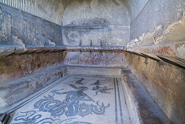 Bath house mosaic from Herculaneum, a large Roman town destroyed in 79AD by a volcanic eruption from Mount Vesuvius, UNESCO World Heritage Site, near Naples, Campania, Italy, Europe