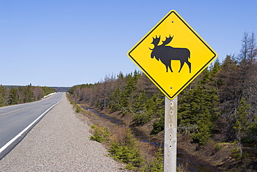 Moose sign, Cape Breton Highlands National Park, Cape Breton, Nova Scotia, Canada, North America