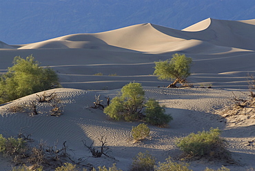 Sand dunes near Stovepipe Wells, Death Valley National Park, California, United States of America, North America