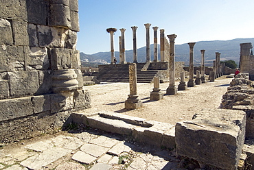 Forum, Roman site of Volubilis, UNESCO World Heritage Site, Morocco, North Africa, Africa