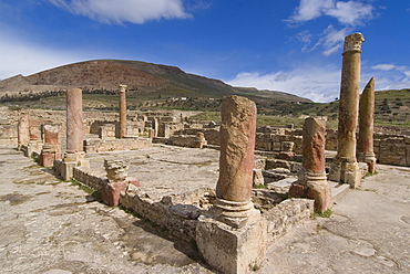 House of the Hunt, Roman ruins of Bulla Regia, Tunisia, North Africa, Africa