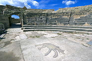 Theatre, Roman ruins of Bulla Regia, Tunisia, North Africa, Africa