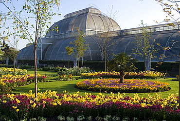 Palm House, Royal Botanic Gardens (Kew Gardens), UNESCO World Heritage Site, Kew, Surrey, England, United Kingdom, Europe