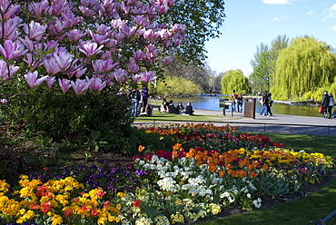 Regent's Park, London, England, United Kingdom, Europe