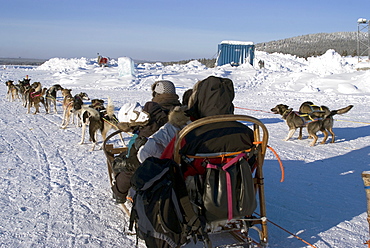 Dog sledding, Jukkasjarvi, Sweden, Scandinavia, Europe