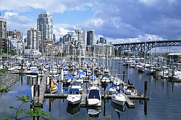 Vancouver, British Columbia (B.C.), Canada, North America