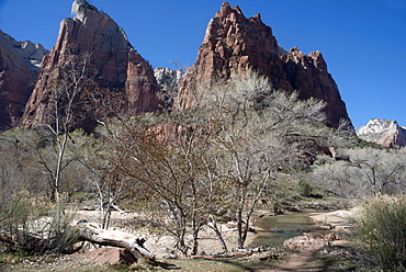 Zion Canyon National Park, Utah, United States of America, North America