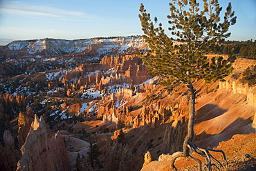 Bryce Canyon National Park, Utah, United States of America, North America