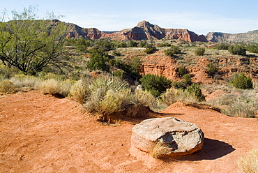 Palo Duro State Park, near Amarillo, Texas, United States of America, North America