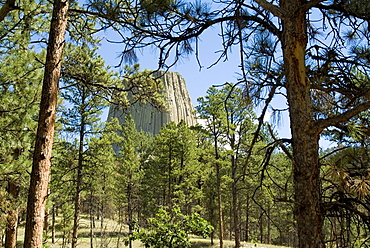 Devil's Tower National Monument, Wyoming, United States of America, North America