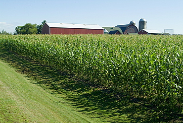 Farm, North Wood Park, Wisconsin, United States of America, North America