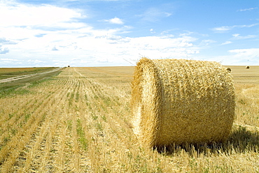 Haystacks, North Dakota, United States of America, North America