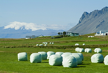 Farm with Snaefellsness Mountain in background, Iceland, Polar Regions