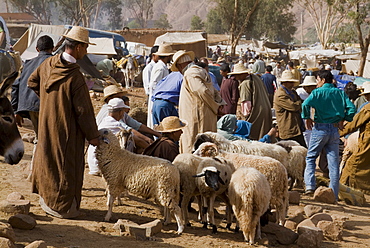 Weekly market, Tahanoute, High Atlas Mountains, Morocco, North Africa, Africa