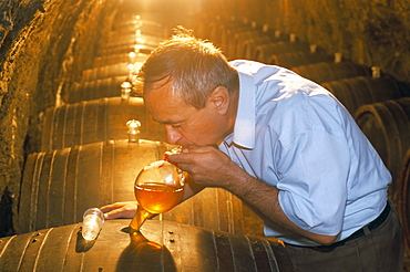 Taking a sample from cask in cellar, Budapest, Hungary, Europe