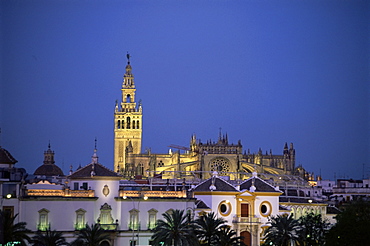 Plaza de Toros (bull ring) in foreground and cathedral on city skyline, Seville, Andalucia, Spain, Europe