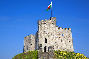 Norman Keep, Cardiff Castle, Cardiff, South Wales, Wales, United Kingdom, Europe