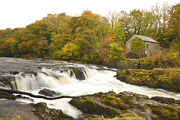 Cenarth Waterfalls, Carmarthenshire, Wales, United Kingdom, Europe