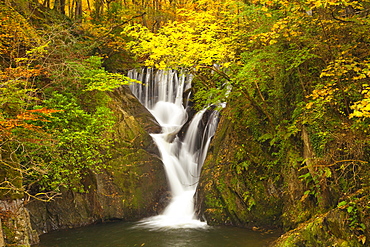 Furnace Falls, Furnace, Dyfed, Wales, United Kingdom, Europe