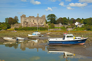 Laugharne Castle, Carmarthenshire, Wales, United Kingdom, Europe