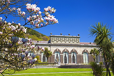 Margam Park, Port Talbot, Wales, United Kingdom, Europe