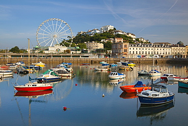 Torquay Harbour, Devon, England, United Kingdom, Europe