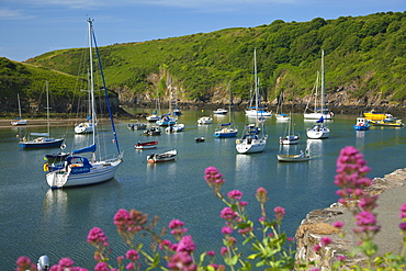 Solva Harbour, Pembrokeshire, Wales, United Kingdom, Europe