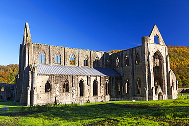 Tintern Abbey, Wye Valley, Monmouthshire, Wales, United Kingdom, Europe 