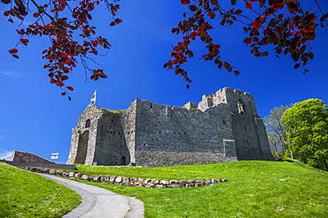 Oystermouth Castle, Mumbles, Gower, Wales, United Kingdom, Europe