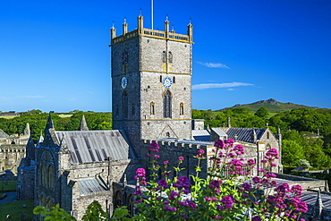 St. Davids Cathedral, Pembrokeshire, Wales, United Kingdom, Europe