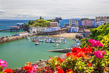 Tenby, Pembrokeshire, Wales, United Kingdom, Europe